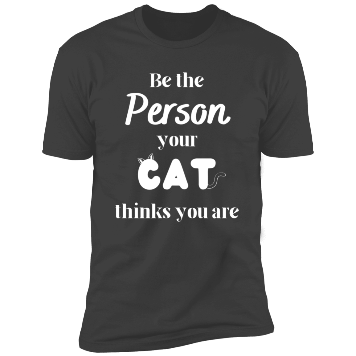 Be the Person Your Cat Thinks You Are T-shirt, Cat Shirt for humans, in heavy metal gray