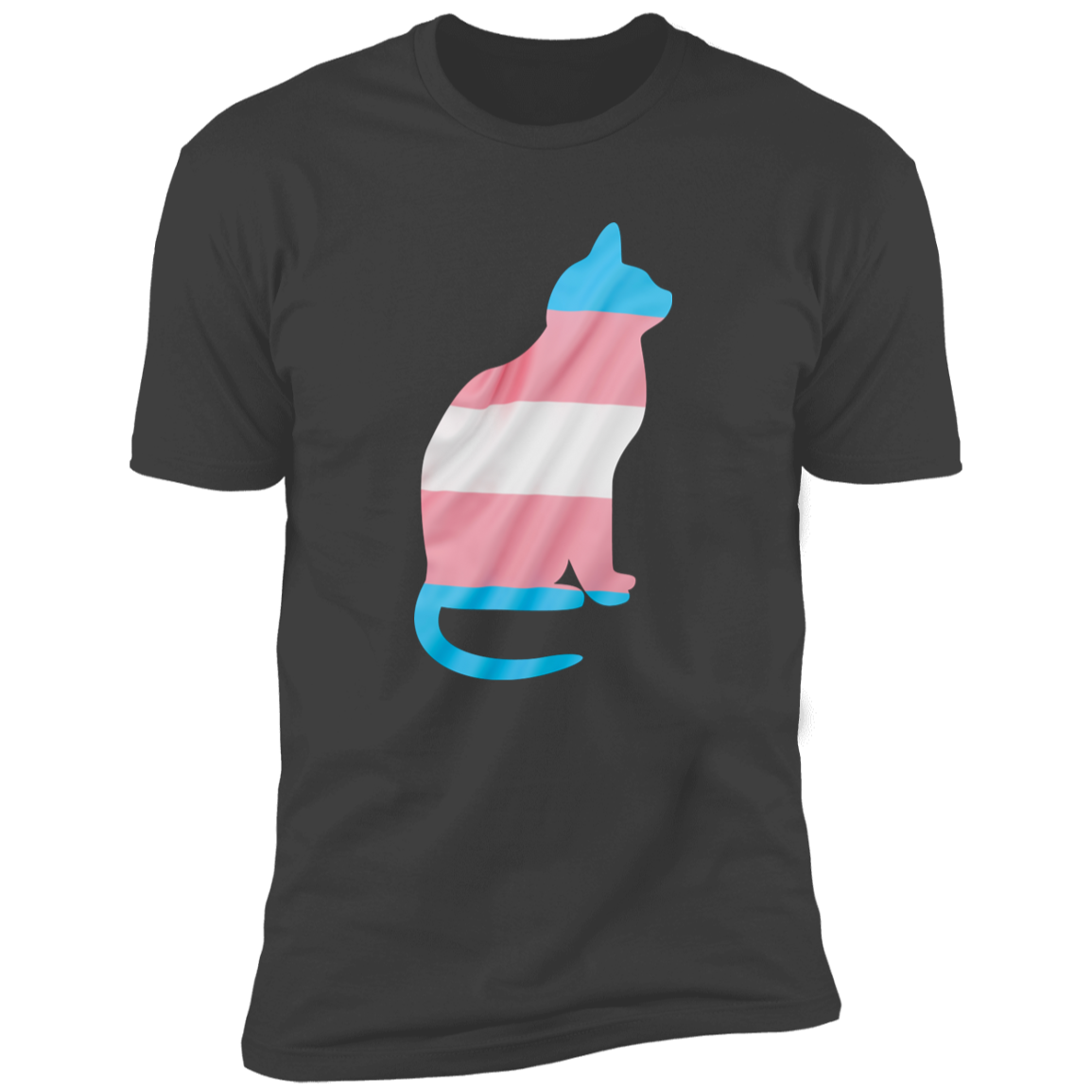 Trans Pride Cat Pride T-shirt, Trans Pride Cat Shirt for humans, in heavy metal gray
