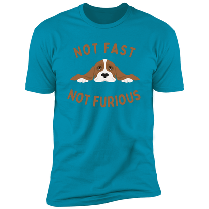 Not Fast Not Furious